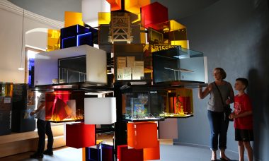 Bienenmuseum Ausstellung